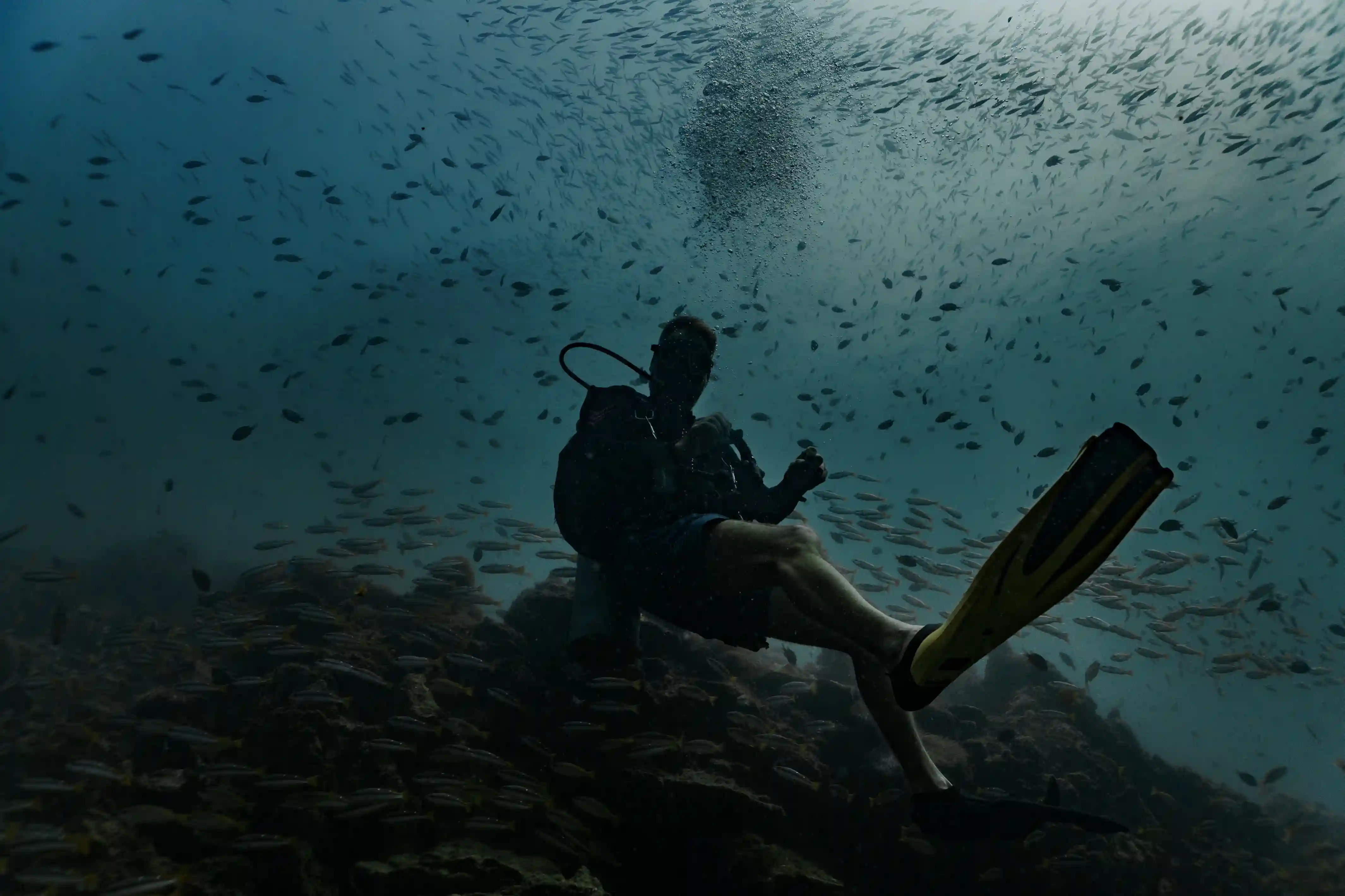 IDF Perfect Trim & Buoyancy