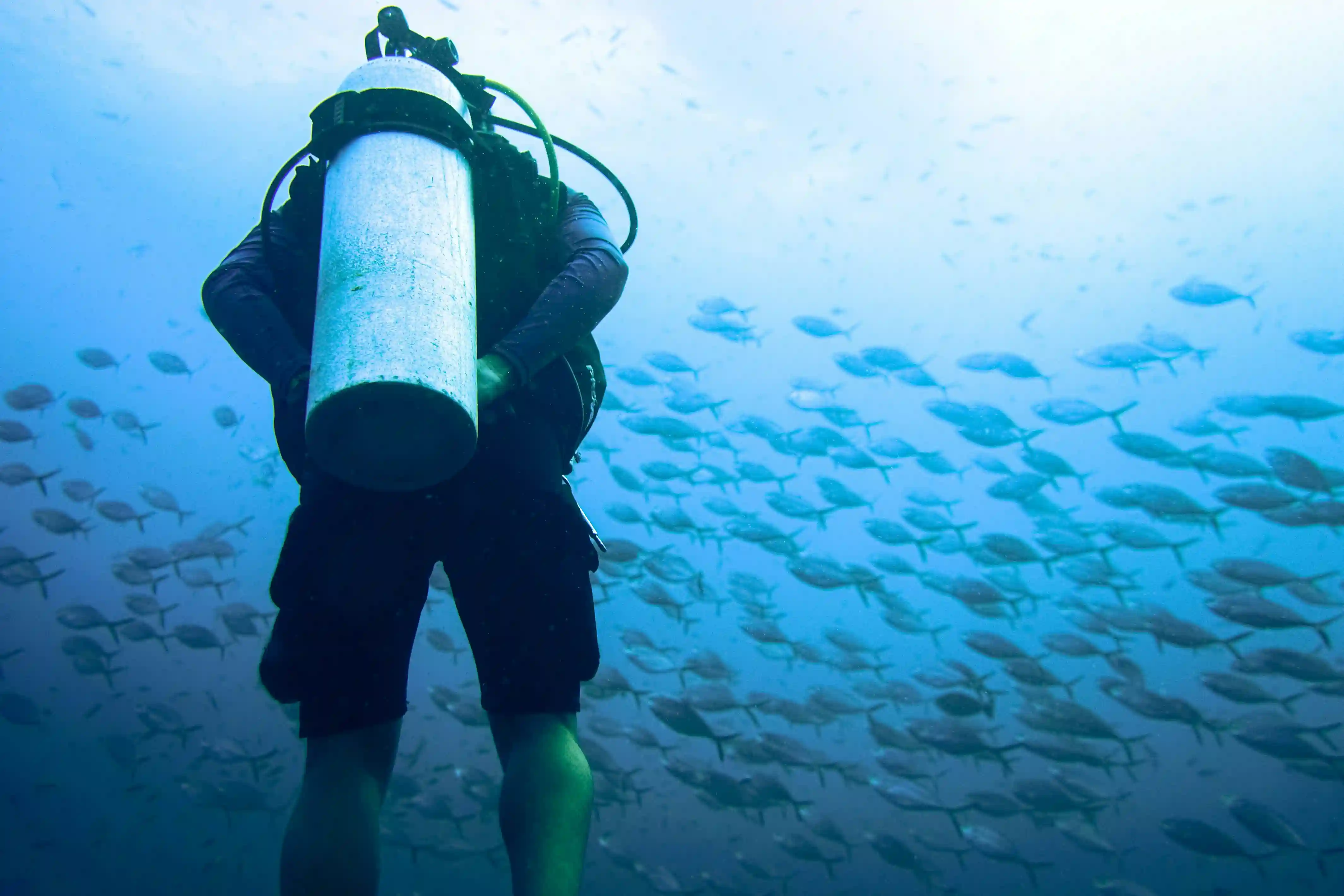 IDF Navigation Diver